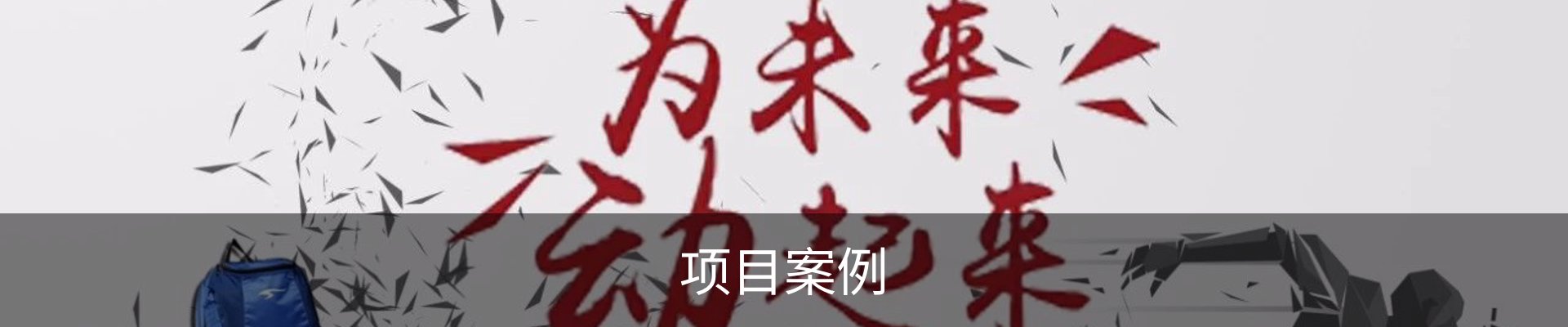 项目案例